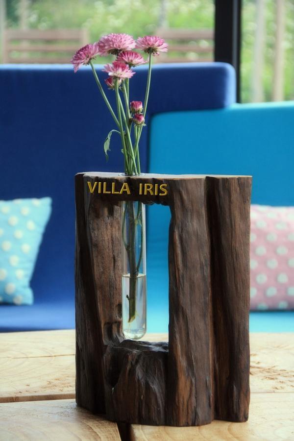 Villa Iris Baisha المظهر الخارجي الصورة